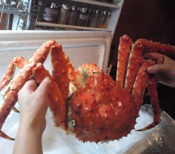 Live King Crab